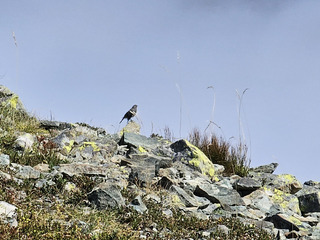 Chamrousse est magique !