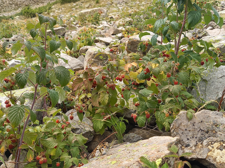 Mont Tailland (2938)