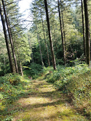 Trail court en bourgogne 