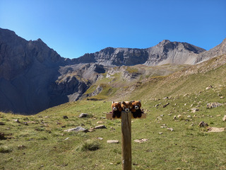 Un tour en Mercantour... Mont Cimet