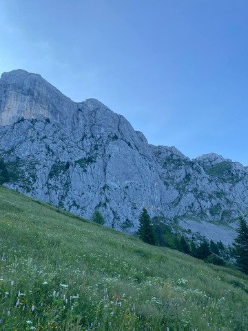 de l'altitude et de l'ombre