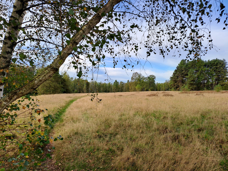 Soleil et douceur d'automne