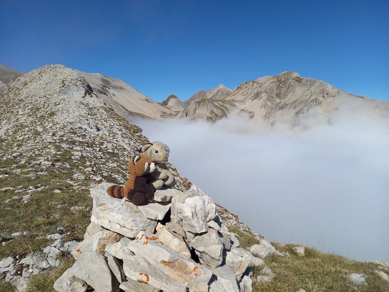 Garder confiance et sortir la tête des nuages...