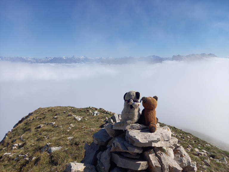 Garder confiance et sortir la tête des nuages...