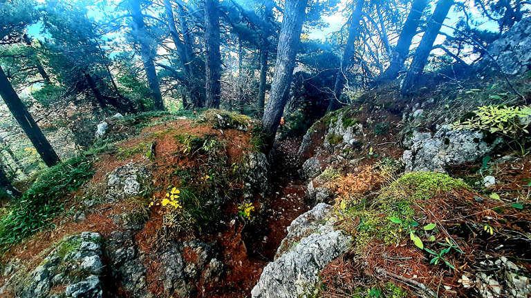 Le Moucherotte : vue plongeante du Vercors