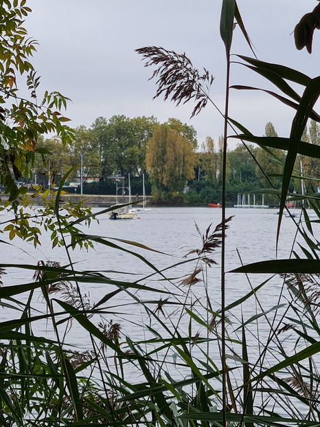 Bords de  Seine et lac