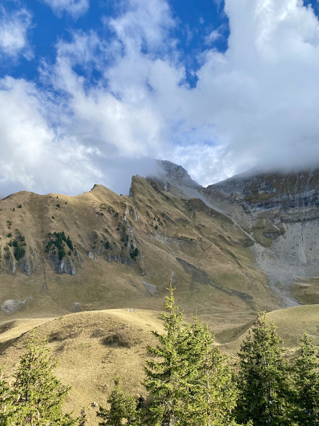 Balade dans le massif de Borne