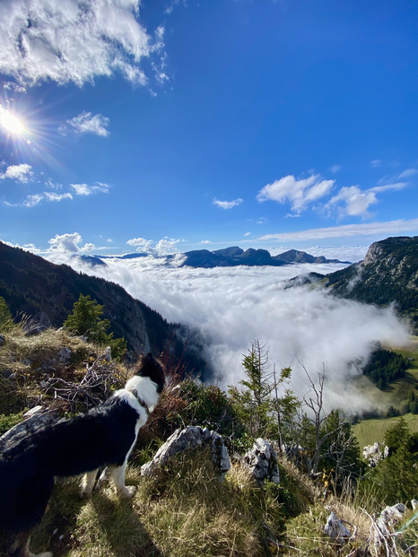 Balade dans le massif de Borne