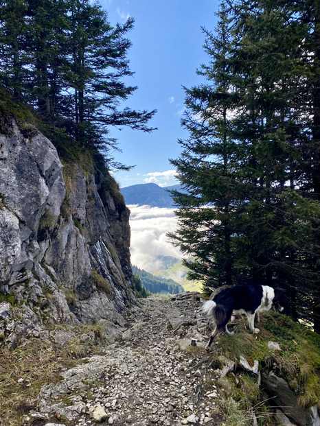 Balade dans le massif de Borne