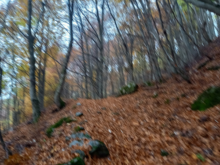 Trempee à la boucle du col de la Gardette 