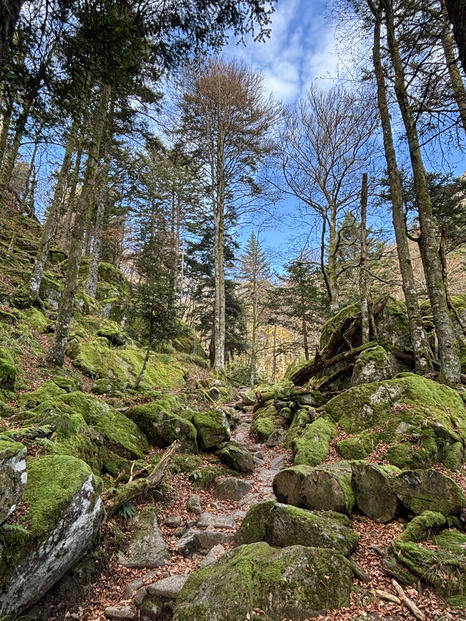 Évasion d’automne au sommet du Hohneck