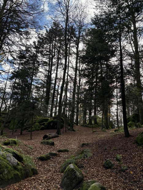 Évasion d’automne au sommet du Hohneck