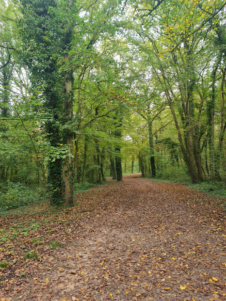 Au parc Villeroy