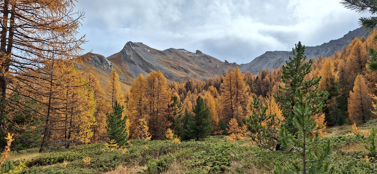 Col de beaubarnon