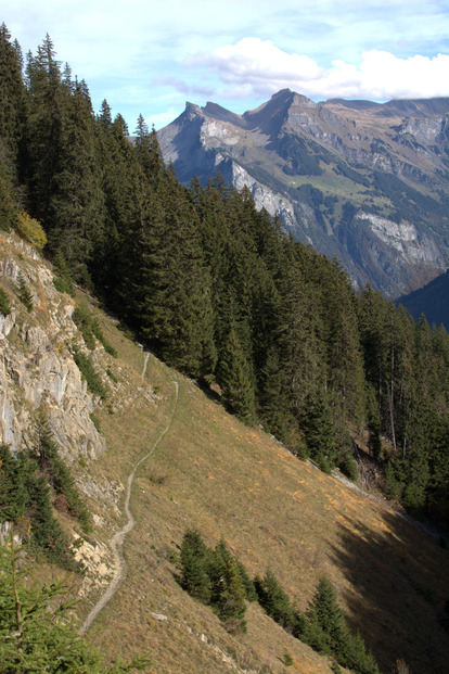 La der au Lobhorn avant l'hiver