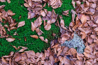 Plateau du Sornin puis Moli&egrave;re depuis Saint Nizier en VTT &eacute;lectrique 