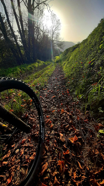 La Pererée, belle montée pour descente VTT