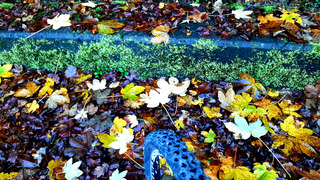 La Perer&eacute;e, belle mont&eacute;e pour descente VTT