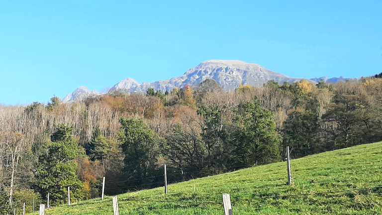 La Pererée, belle montée pour descente VTT