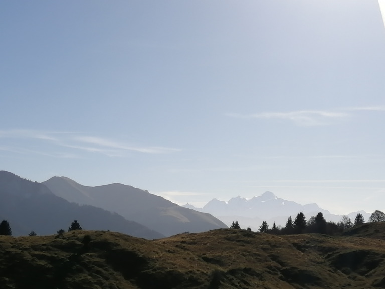 Matinée contemplative au-dessus de la brume