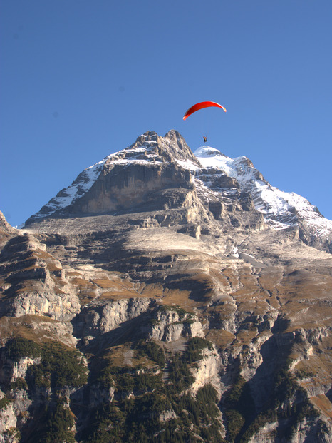 C'est mignon Gimmelwald