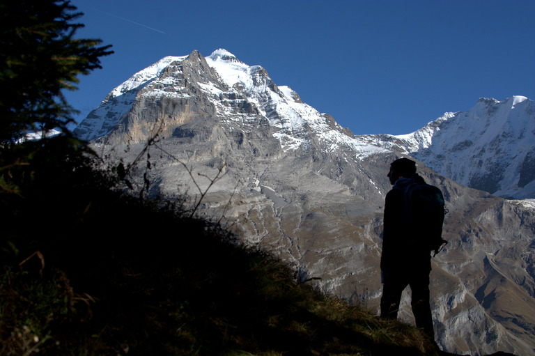 C'est mignon Gimmelwald