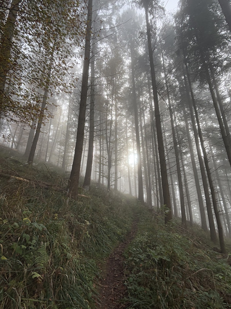 Brume de Novembre