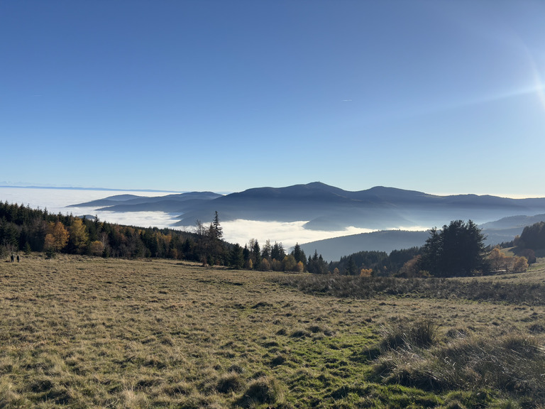 Brume de Novembre