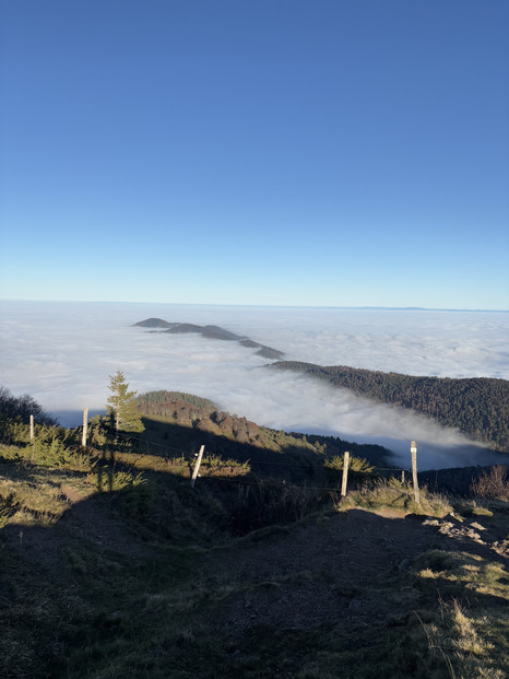 Brume de Novembre