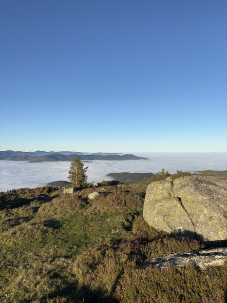 Brume de Novembre