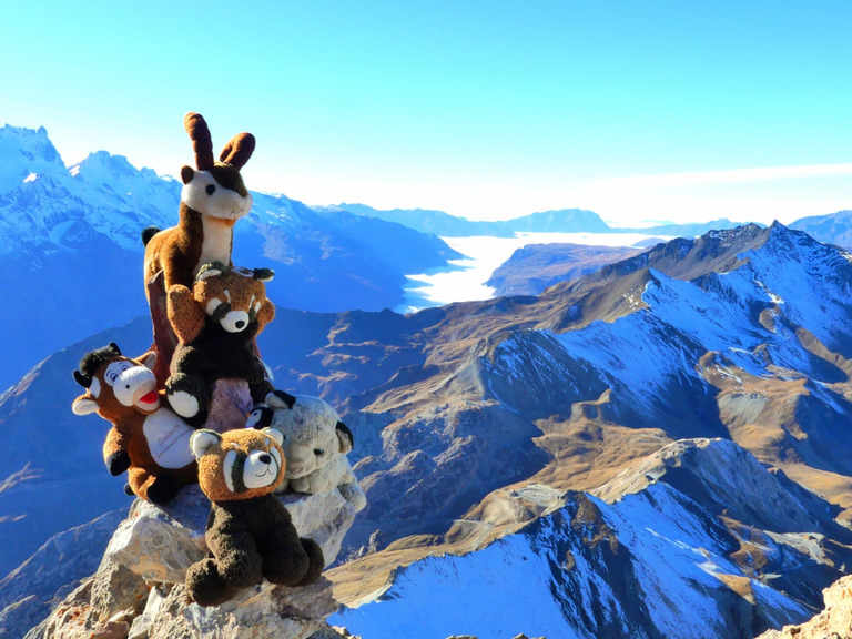 Meeting peluches au grand Galibier (3228)