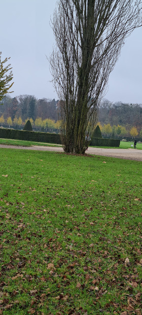 Parc de Sceaux