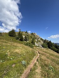 Parenthèse sauvage entre ciel et lac