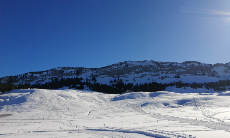 Ski de fond au plateau