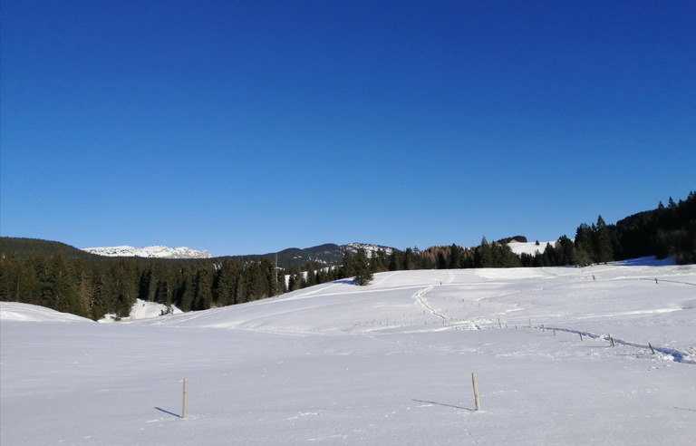 Ski de fond au plateau