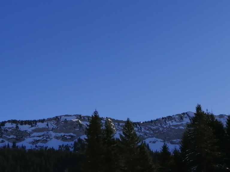 Ski de fond au plateau