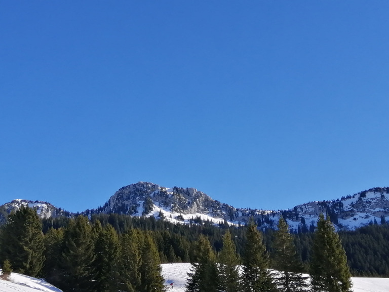 Ski de fond au plateau