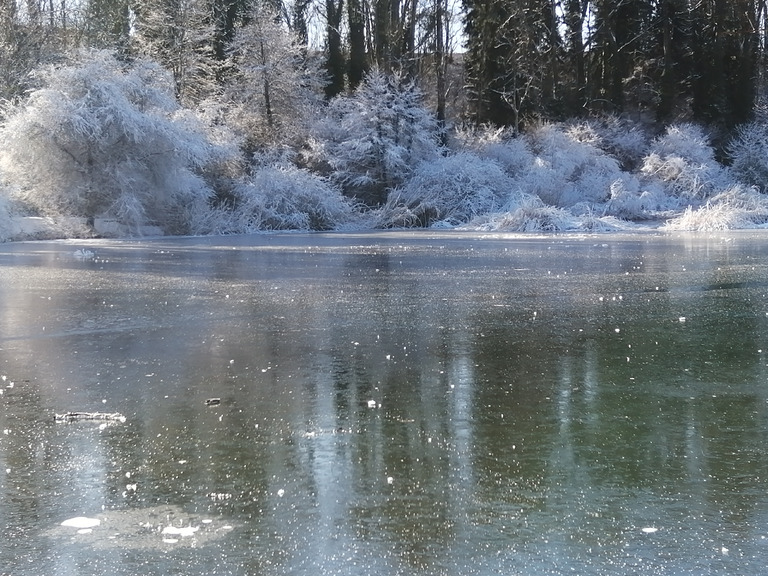 Errance au bord de la glace