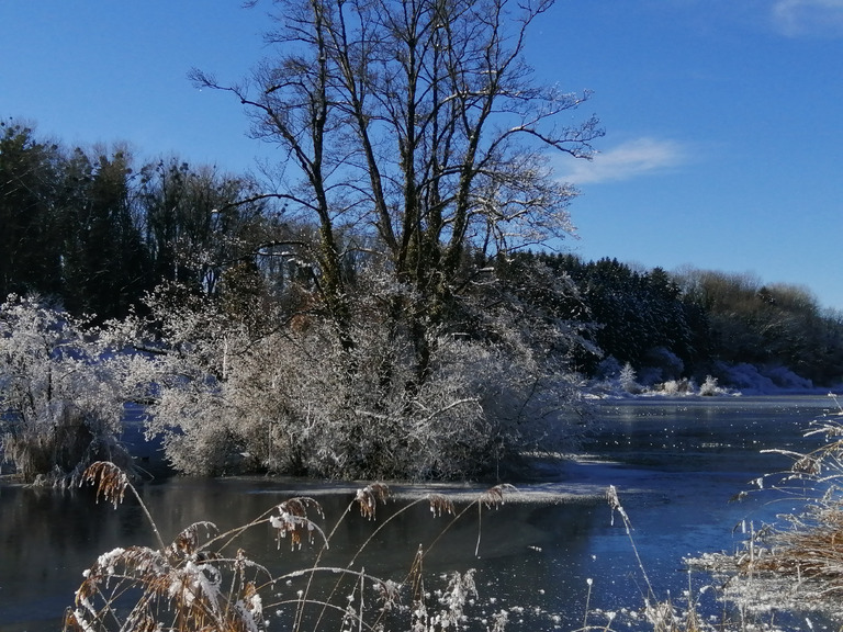 Errance au bord de la glace