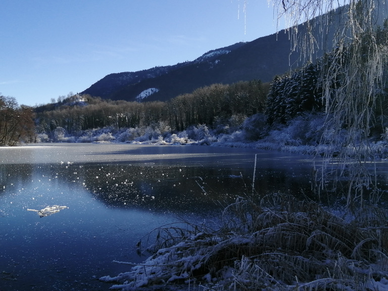 Errance au bord de la glace