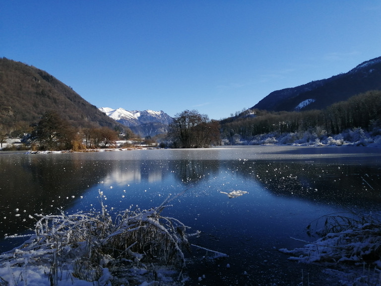 Errance au bord de la glace