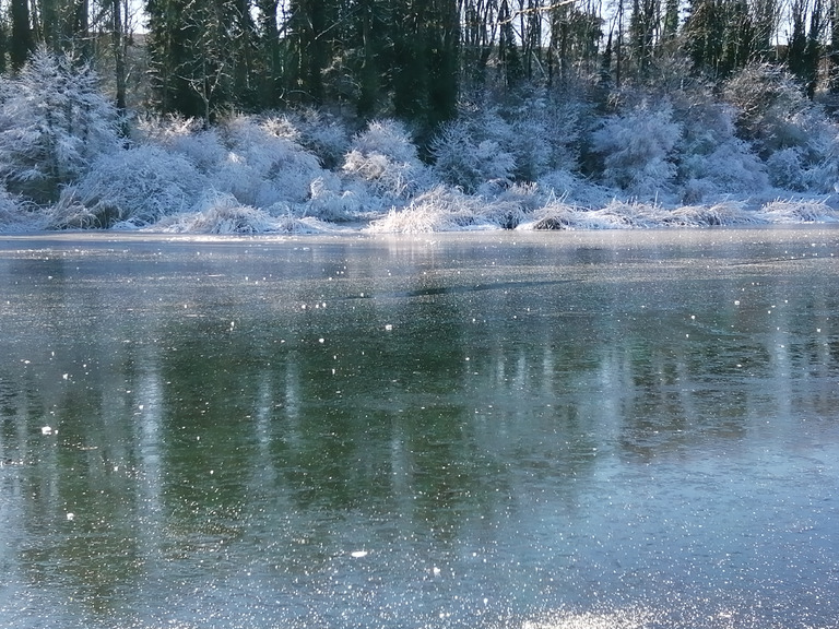 Errance au bord de la glace