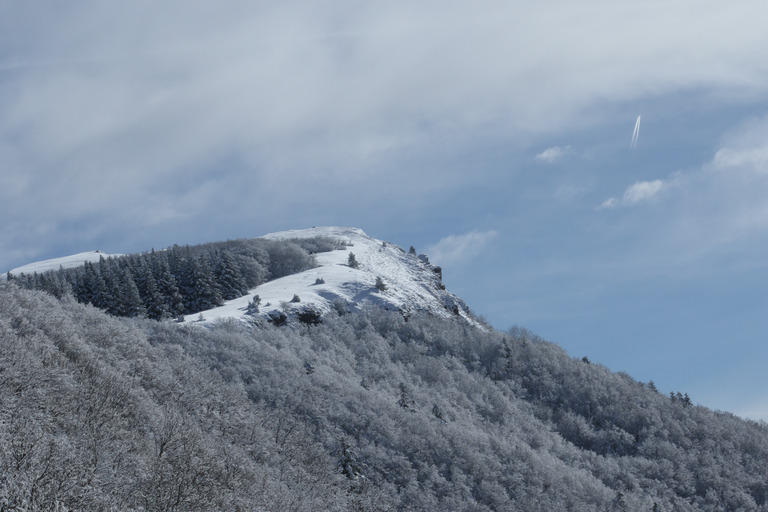 J'ai craqué... neige et vautours dans le diois