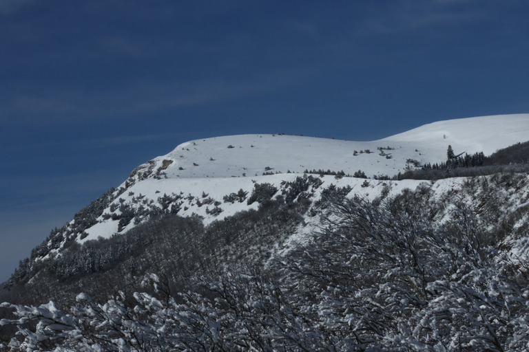 J'ai craqué... neige et vautours dans le diois