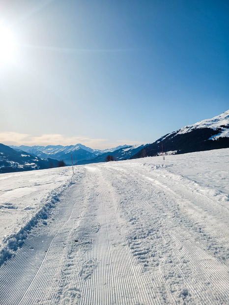 Promenade dans l'alpage