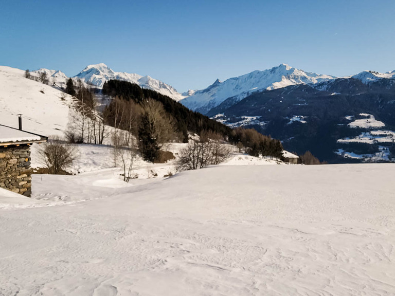 Promenade dans l'alpage