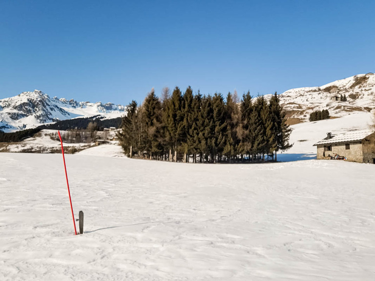 Promenade dans l'alpage