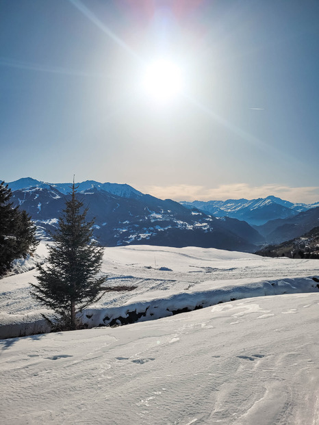 Promenade dans l'alpage