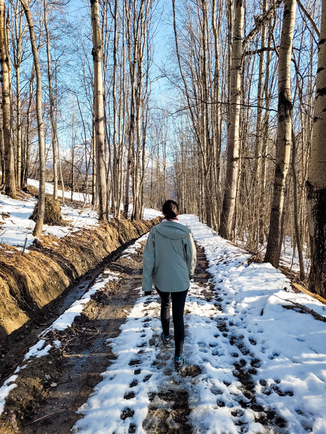 Promenade dans l'alpage