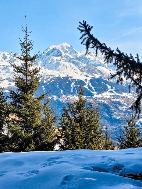 La chaleur des Fours